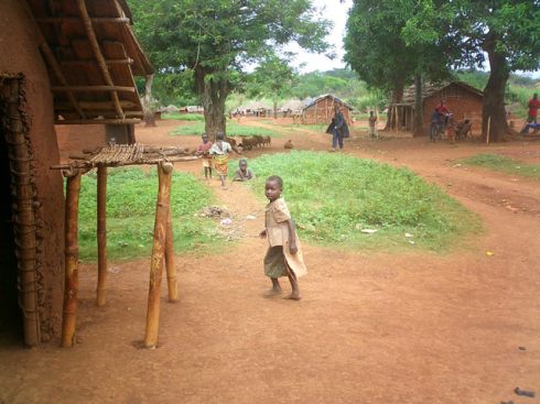 photo-6630-31-10-06-04-50-151 photo-6630-31-10-06-04-50-151