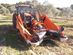 big-es-cimg0060 El Ahora